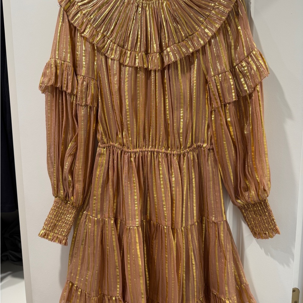 Ulla Johnson Metallic Gold and Brown Dress